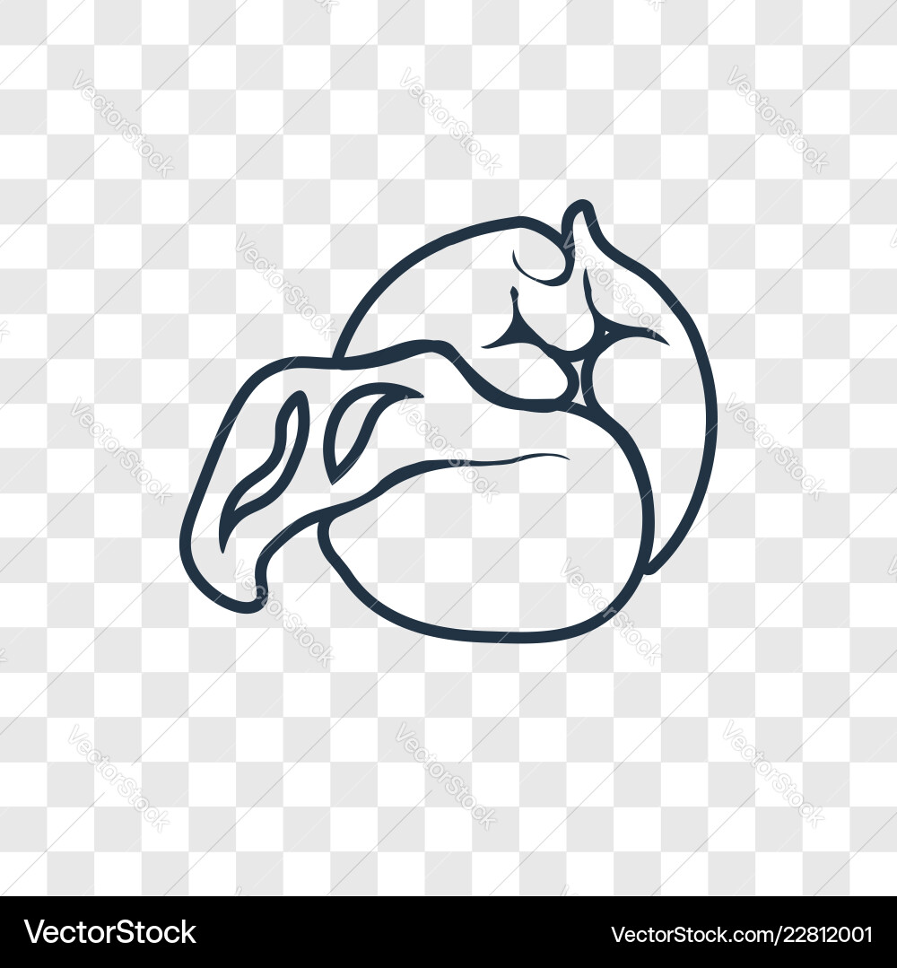 Cabbage concept linear icon isolated Cabbage concept linear icon isolated Vector Image