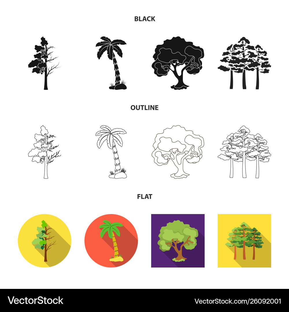 Isolated object tree and forest logo set vector image
