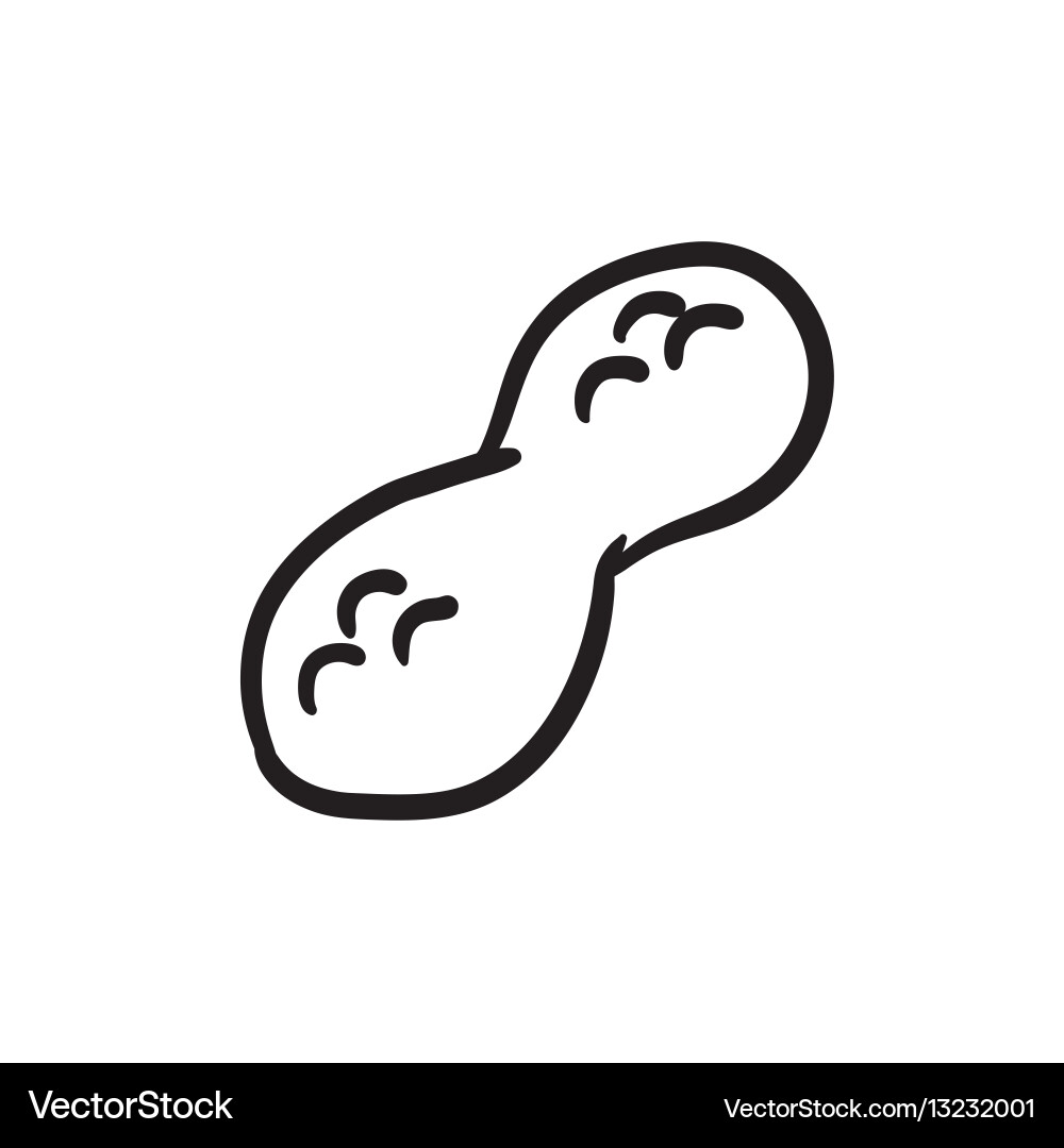 Peanut Skizzensymbol Vektorbild
