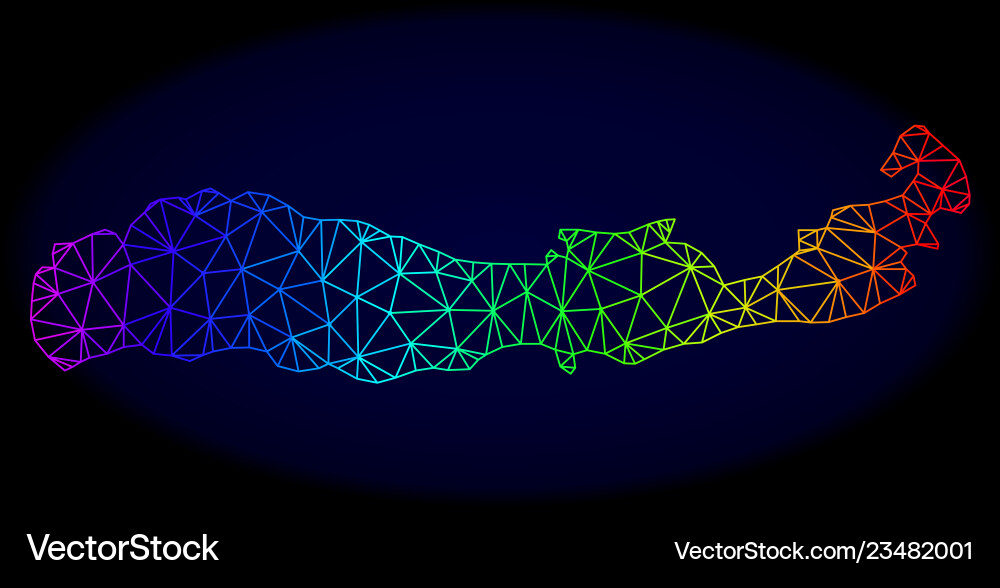 Polygonal network spectrum mesh map Polygonal network spectrum mesh map vector image