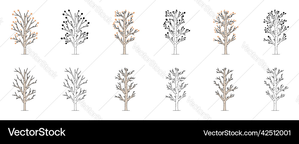 Set of aspen tree isolated on white background Vector Image