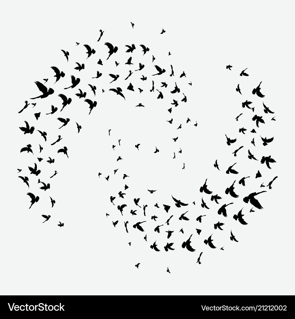 Black Silhouette of Birds in Flight Vector Image