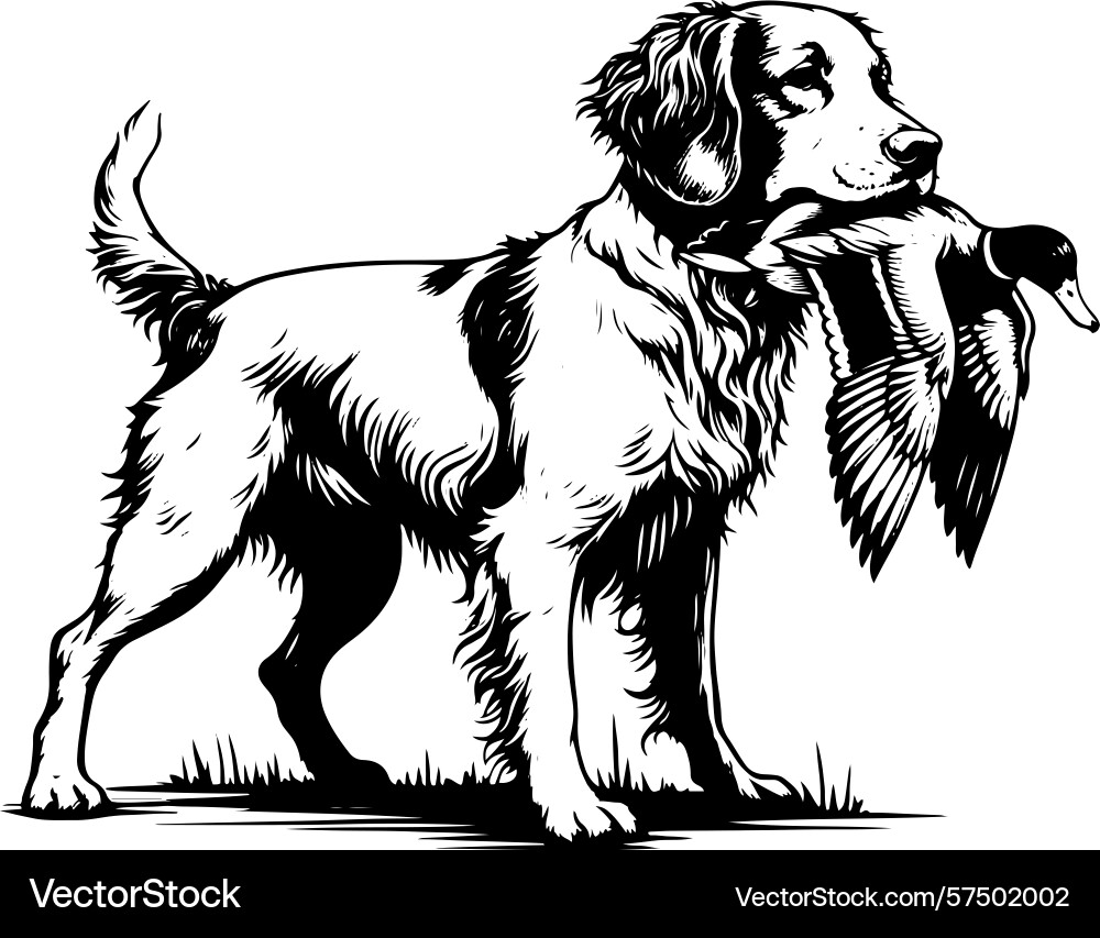Dog and duck in various motion pose Vector Image