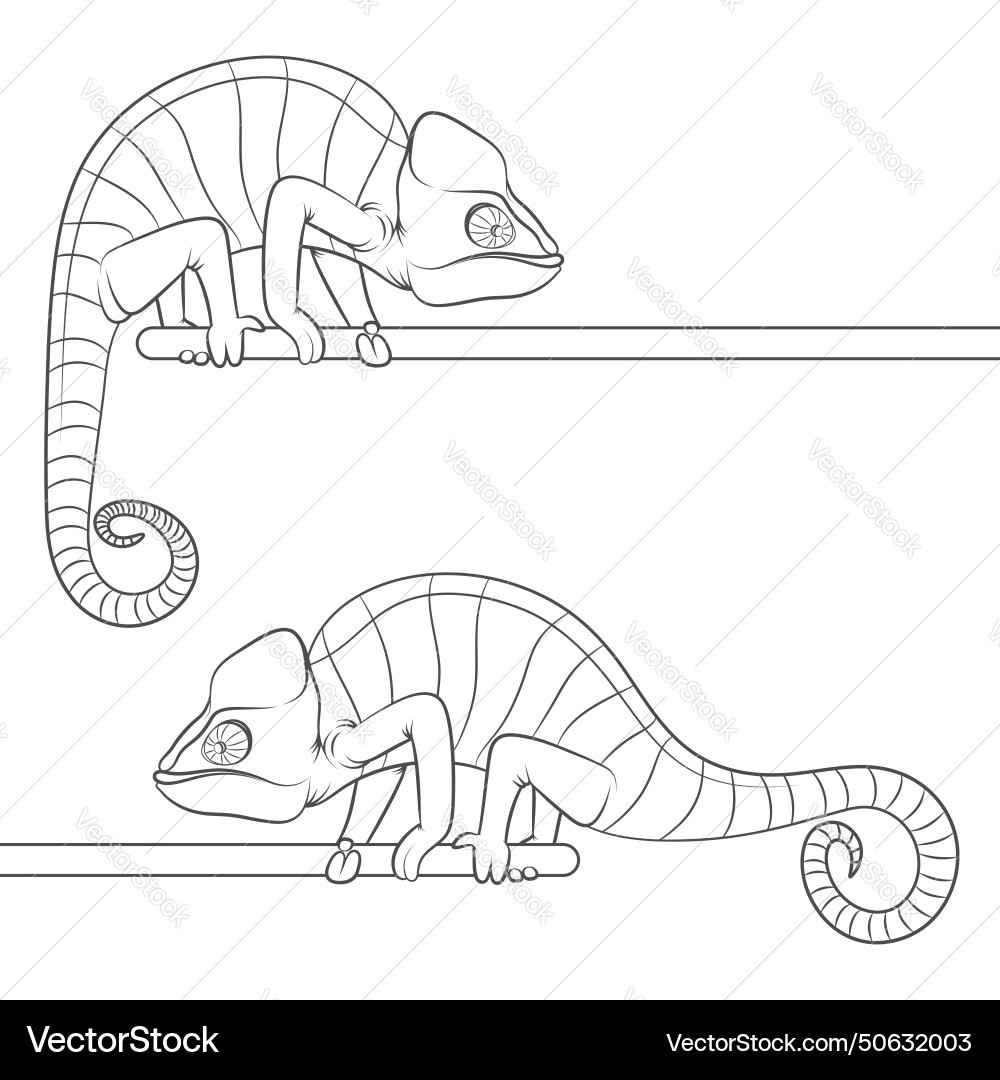 Set of with a chameleon Set of with a chameleon vector image