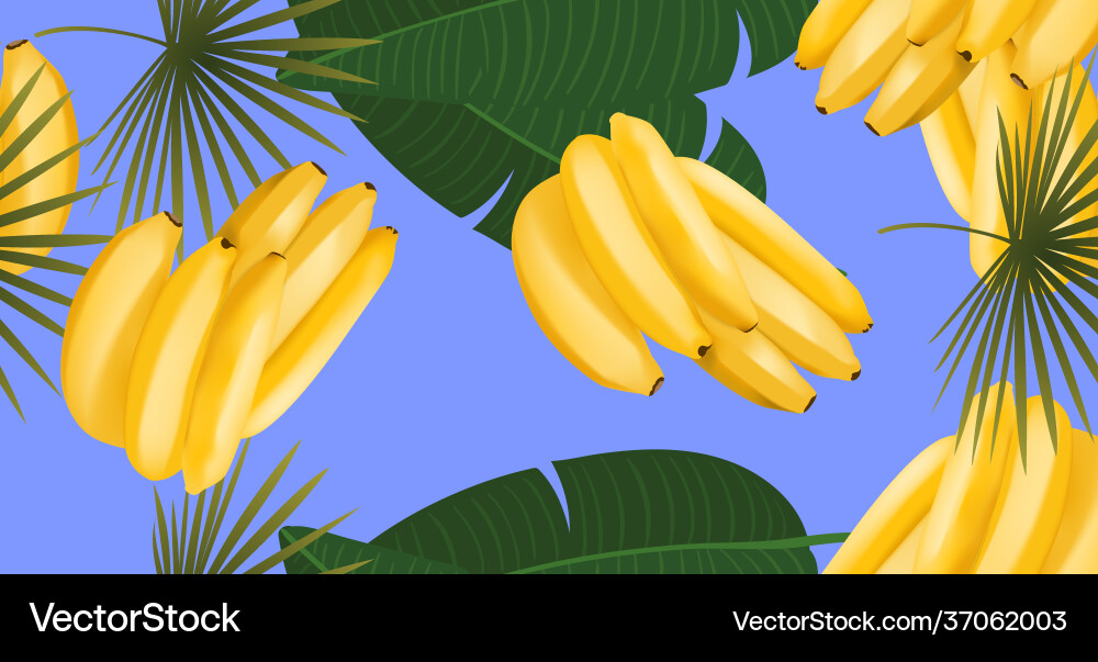 Trendy seamless pattern with realistic banana Vector Image