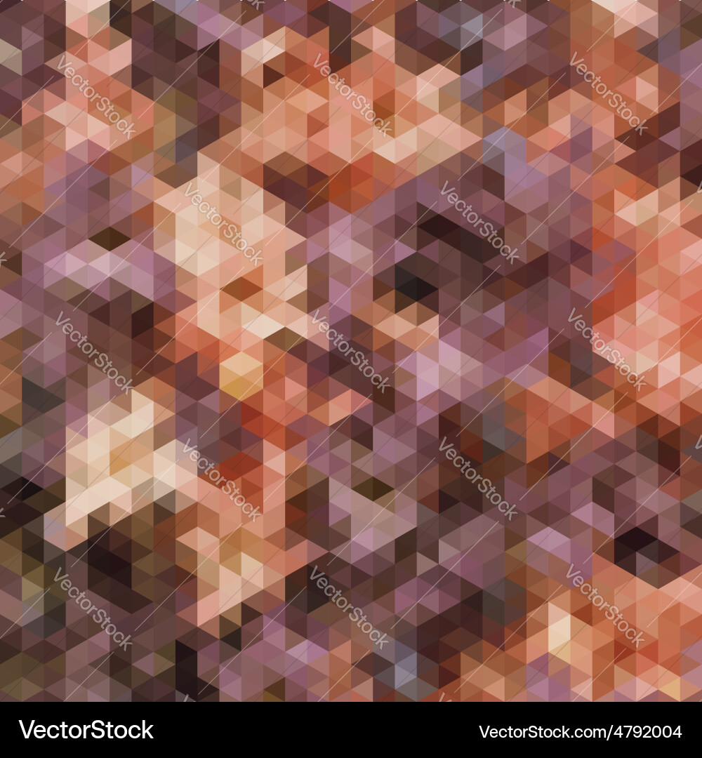 Abstract triangles background for design vector image