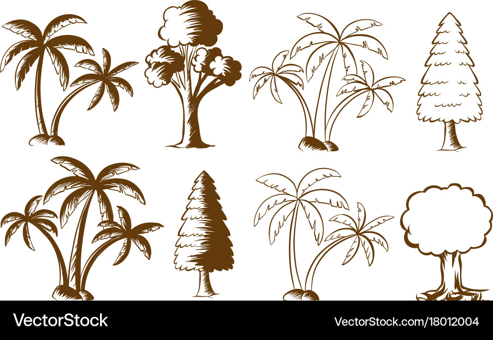 Doodles of different types trees Vector Image