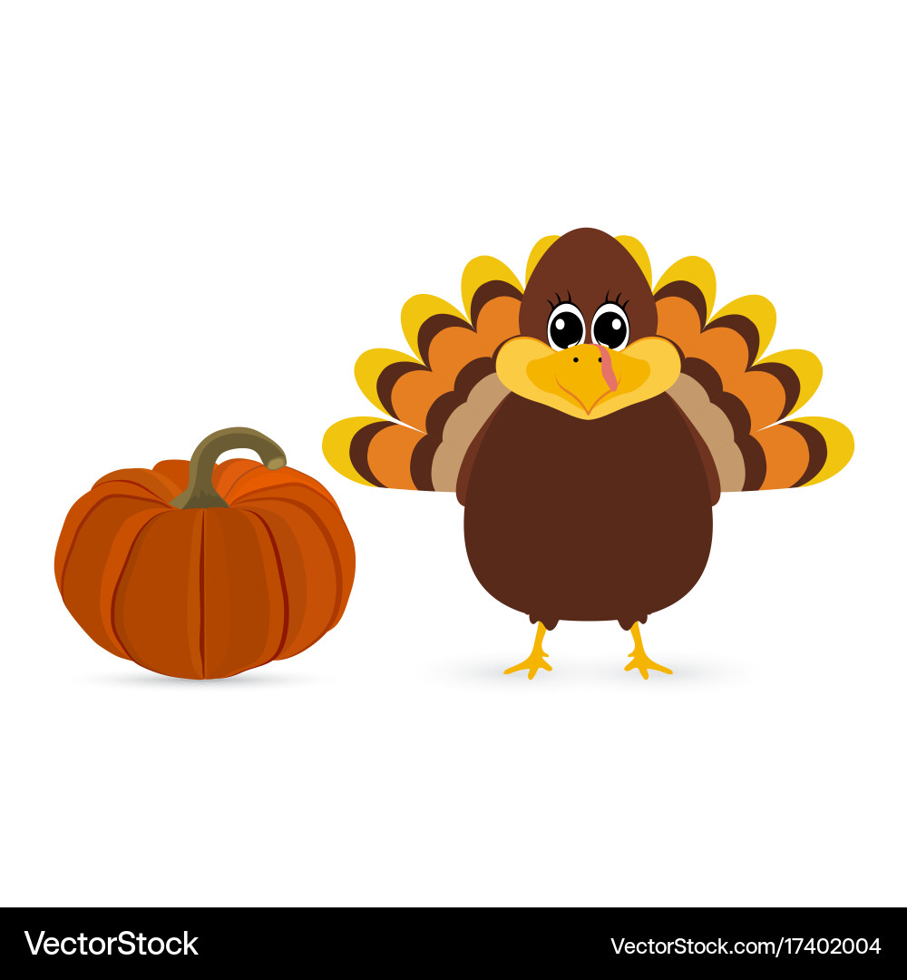 Funny peligrimm with a pumpkin for thanksgiving Vector Image