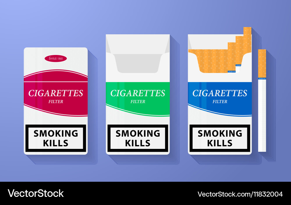 Icon of cigarette pack the open empty and closed Vector Image