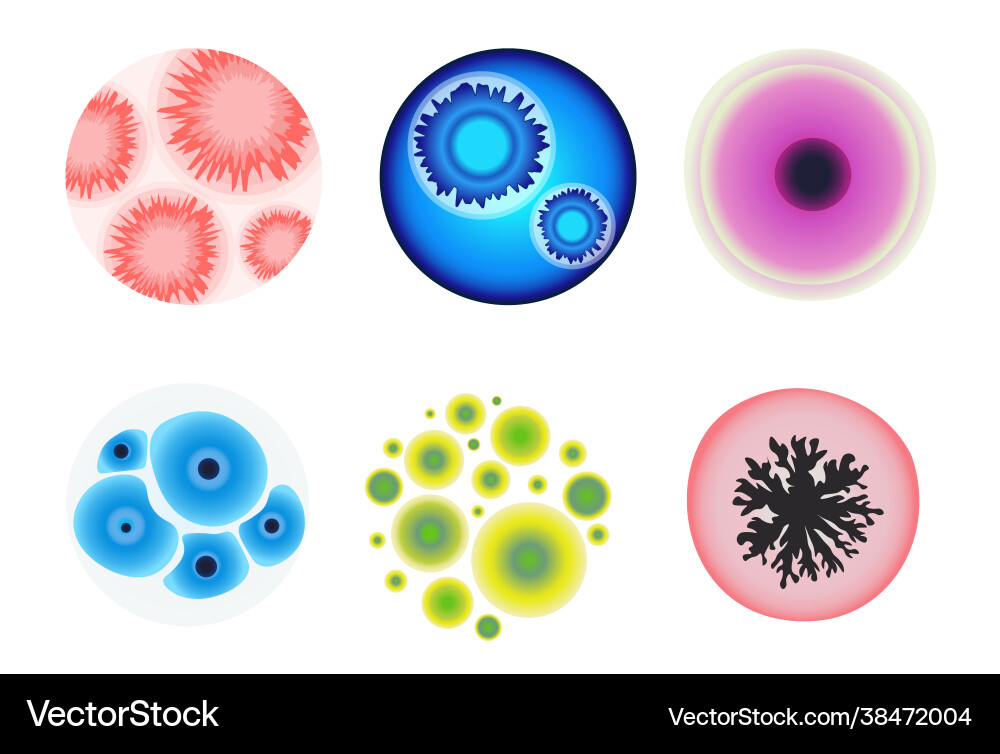 Set mold in lab microscope view different Set mold in lab microscope view different Vector Image