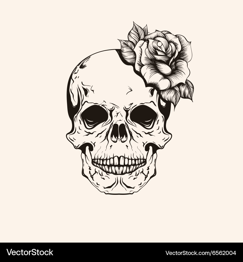 Vintage Skull with Rose Line Art Vector Image