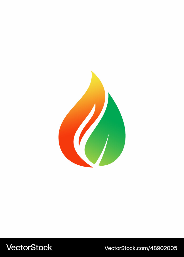 Flame with leaf logo design template Flame with leaf logo design template Vector Image