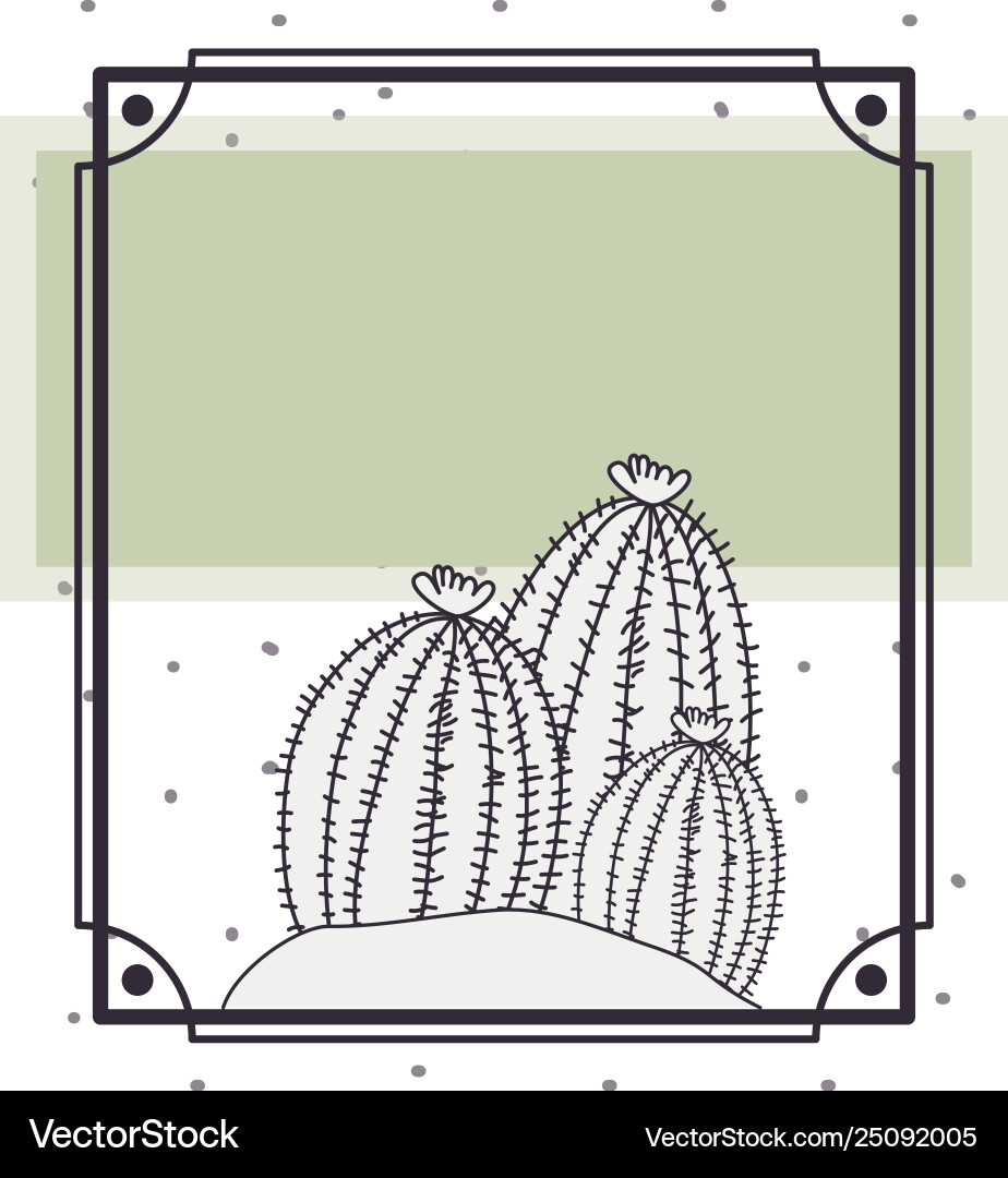 Pattern cactus in frame isolated icon vector image