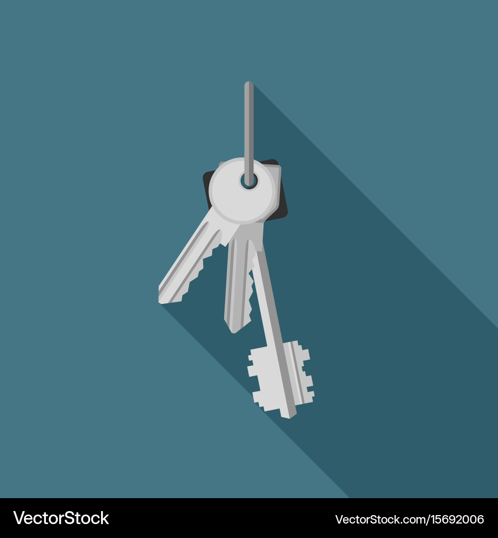 Set of Keys Flat Icon vector image