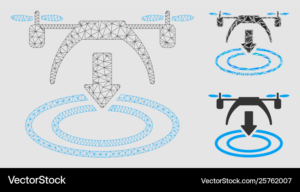 Copter landing mesh network model Copter landing mesh network model vector image