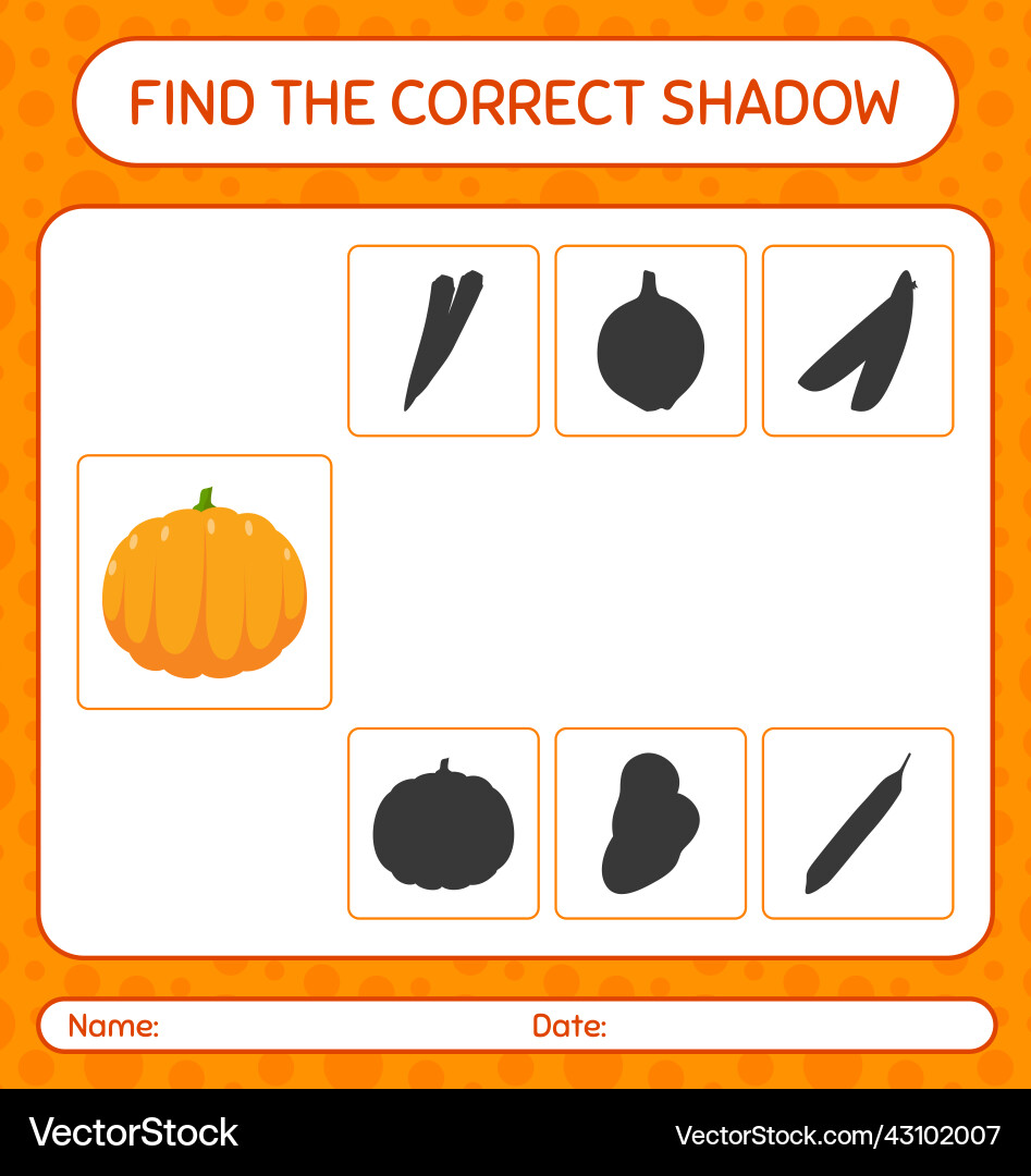 Find the correct shadows game with pumpkin vector image