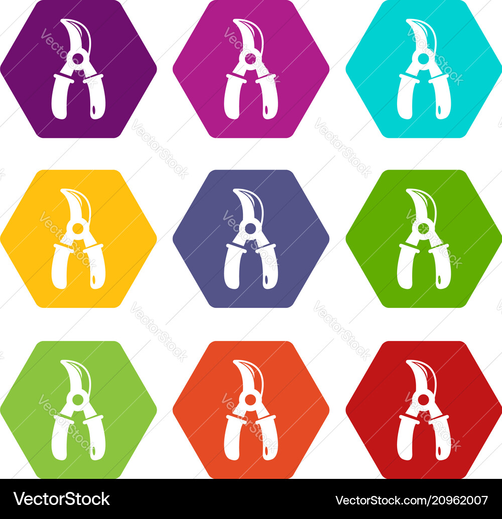 Grape scissors icons set 9 Grape scissors icons set 9 vector image