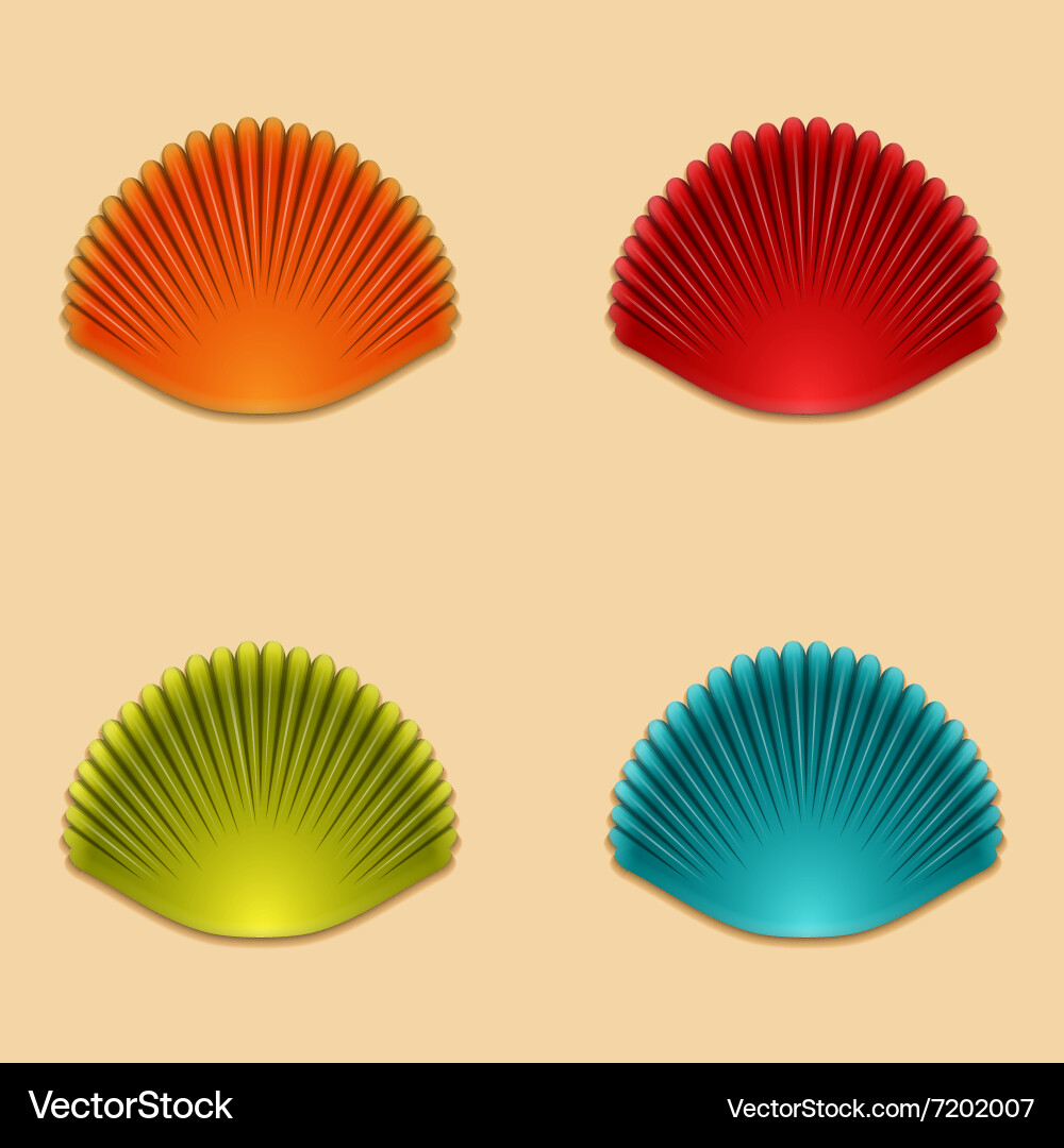 Modern shells set on orange vector image