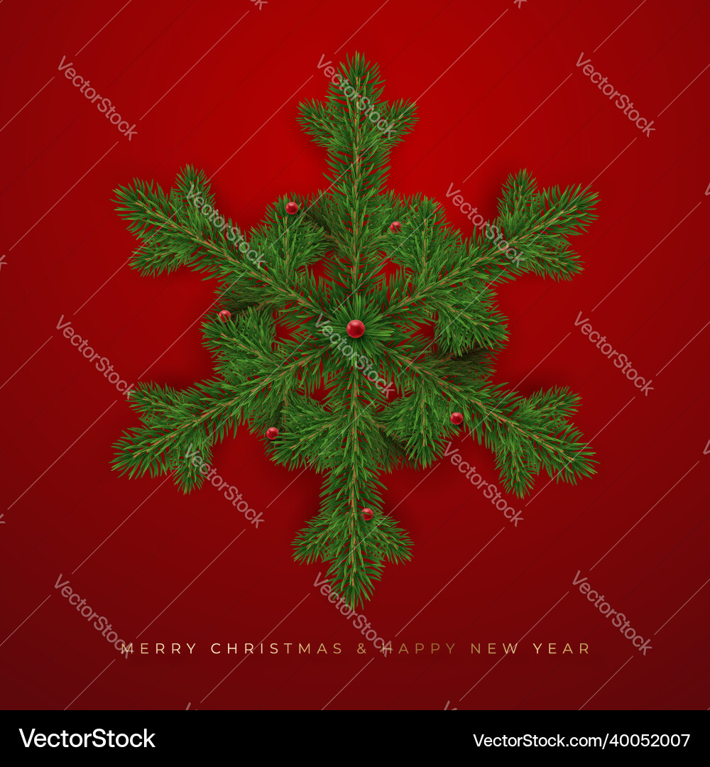 Realistic snowflake made of pine branches Realistic snowflake made of pine branches vector image
