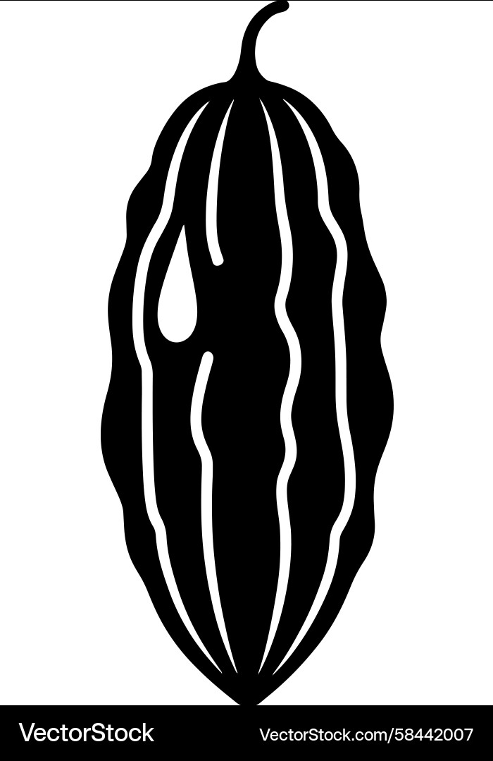 Ripe Cacao Pod Silhouette Vector Image