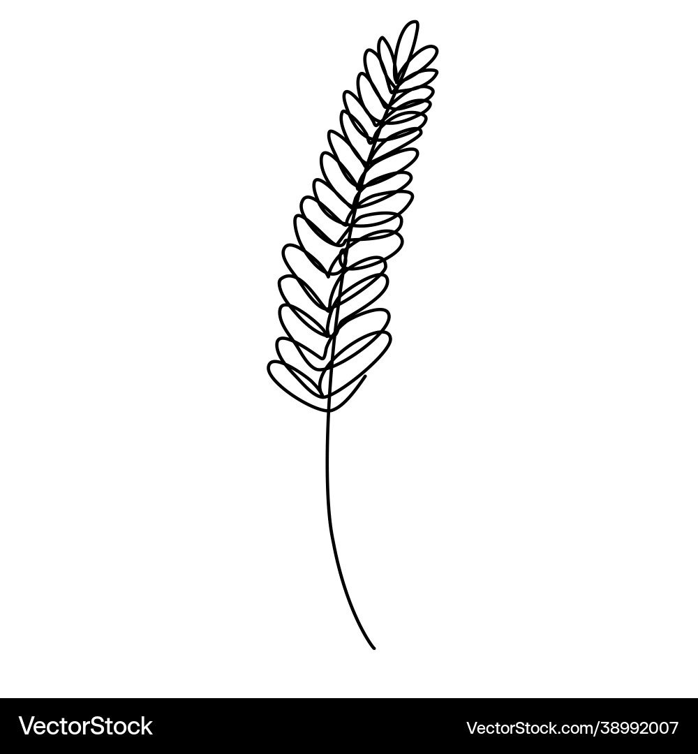 Wheat in continuous line art style with editable Wheat in continuous line art style with editable Vector Image