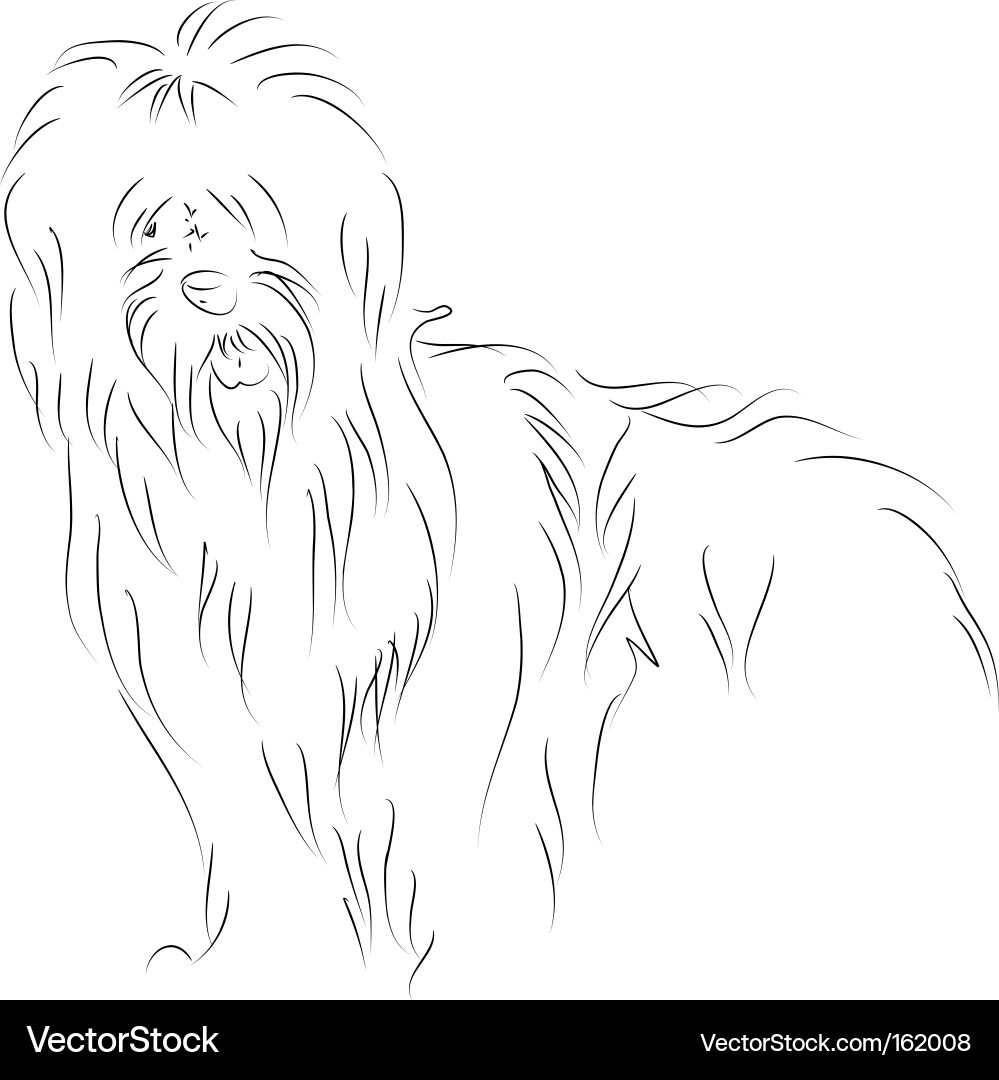 Bobtail vector image