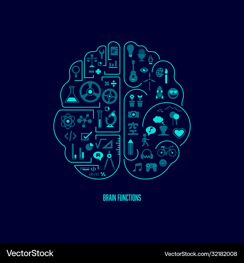 Brain Functions & Creativity vector image