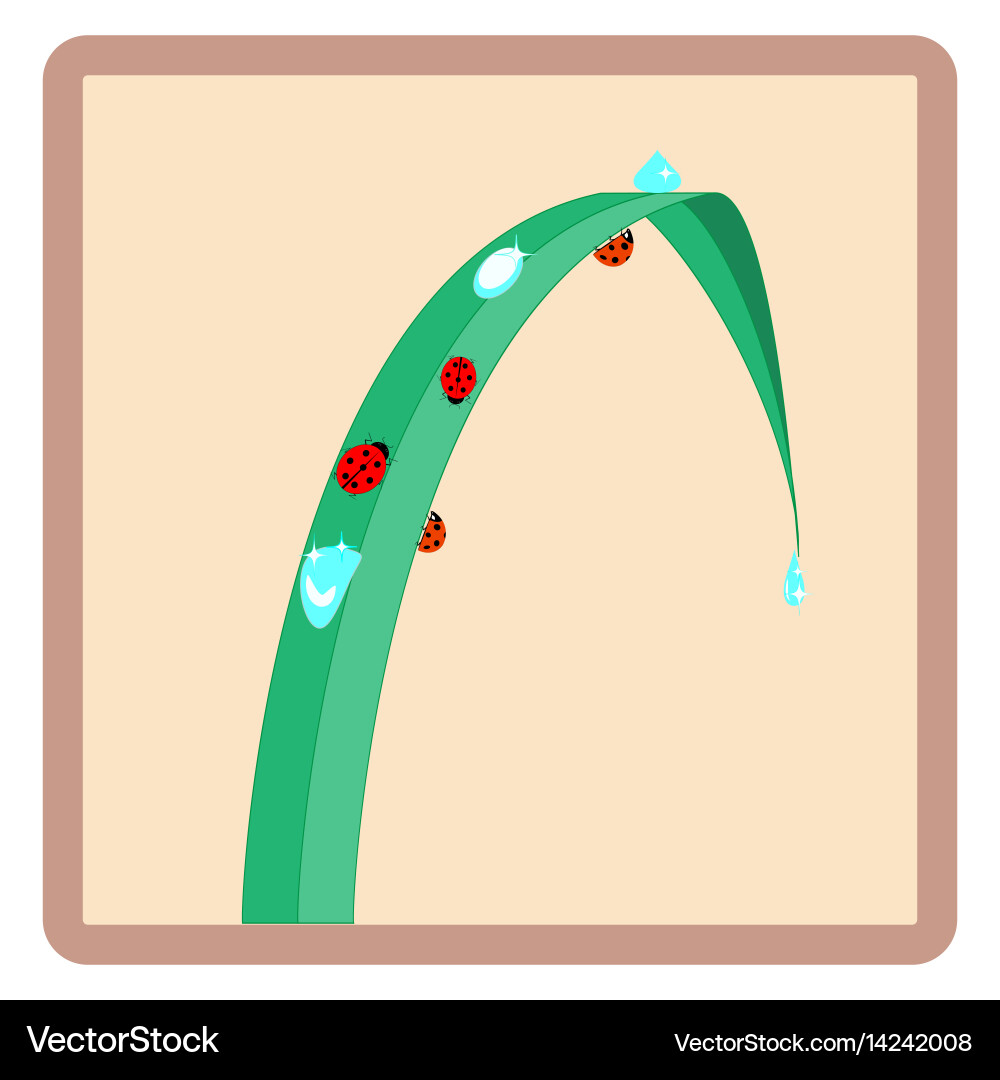 Ladybug on grass in square card vector image