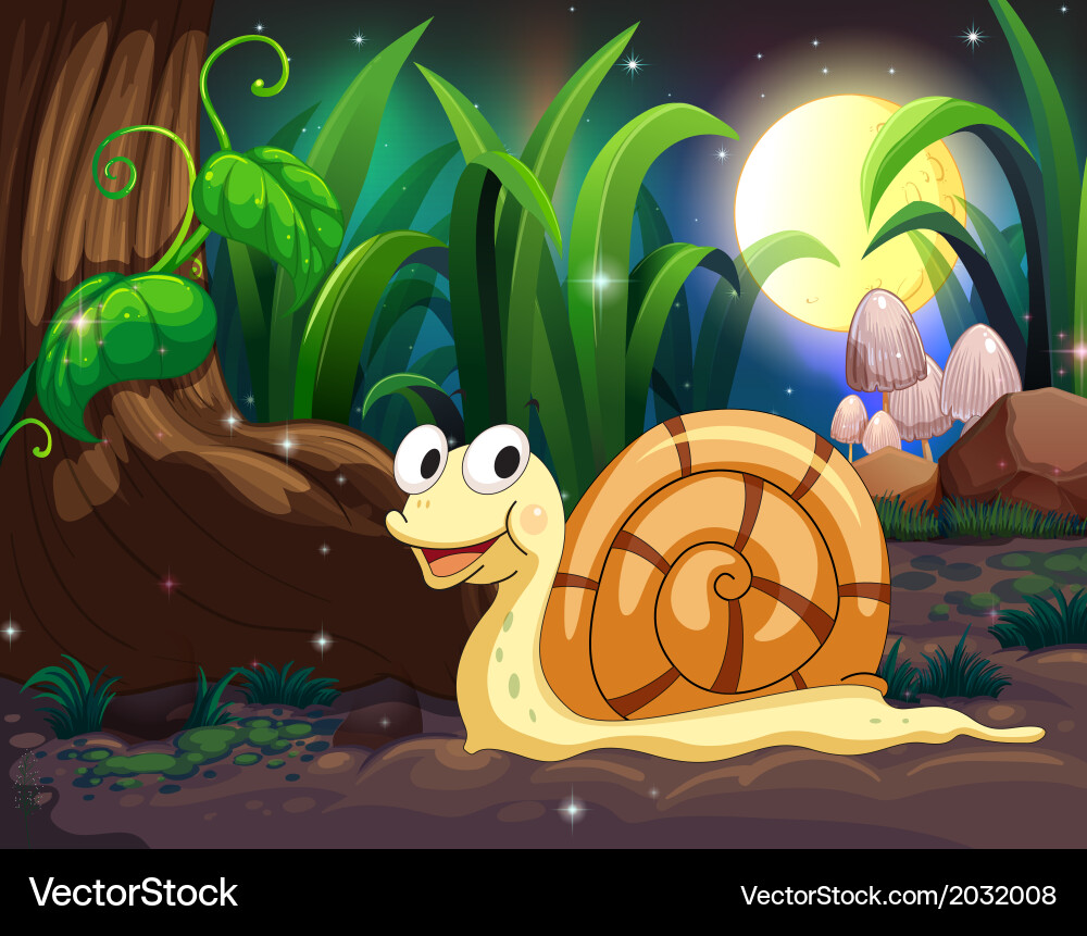 Snail in a Forest Setting vector image