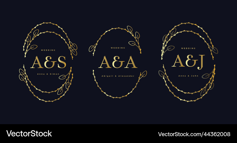Web Web vector image