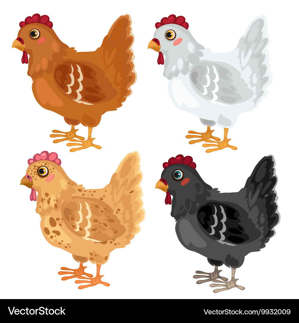 Cartoon chicken different colors animals Vector Image