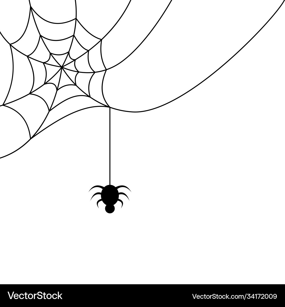 Spider hanging from a cobweb vector image
