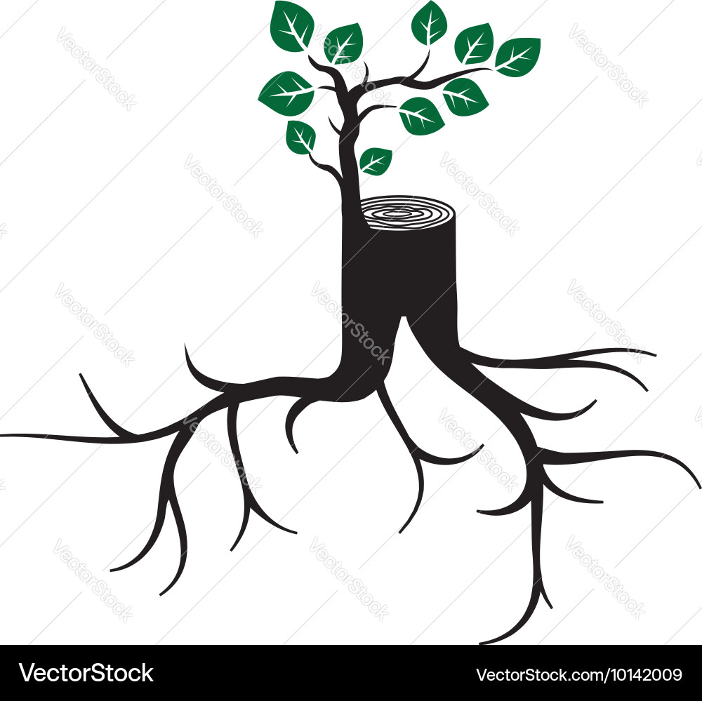 Tree Sprout Regeneration vector image
