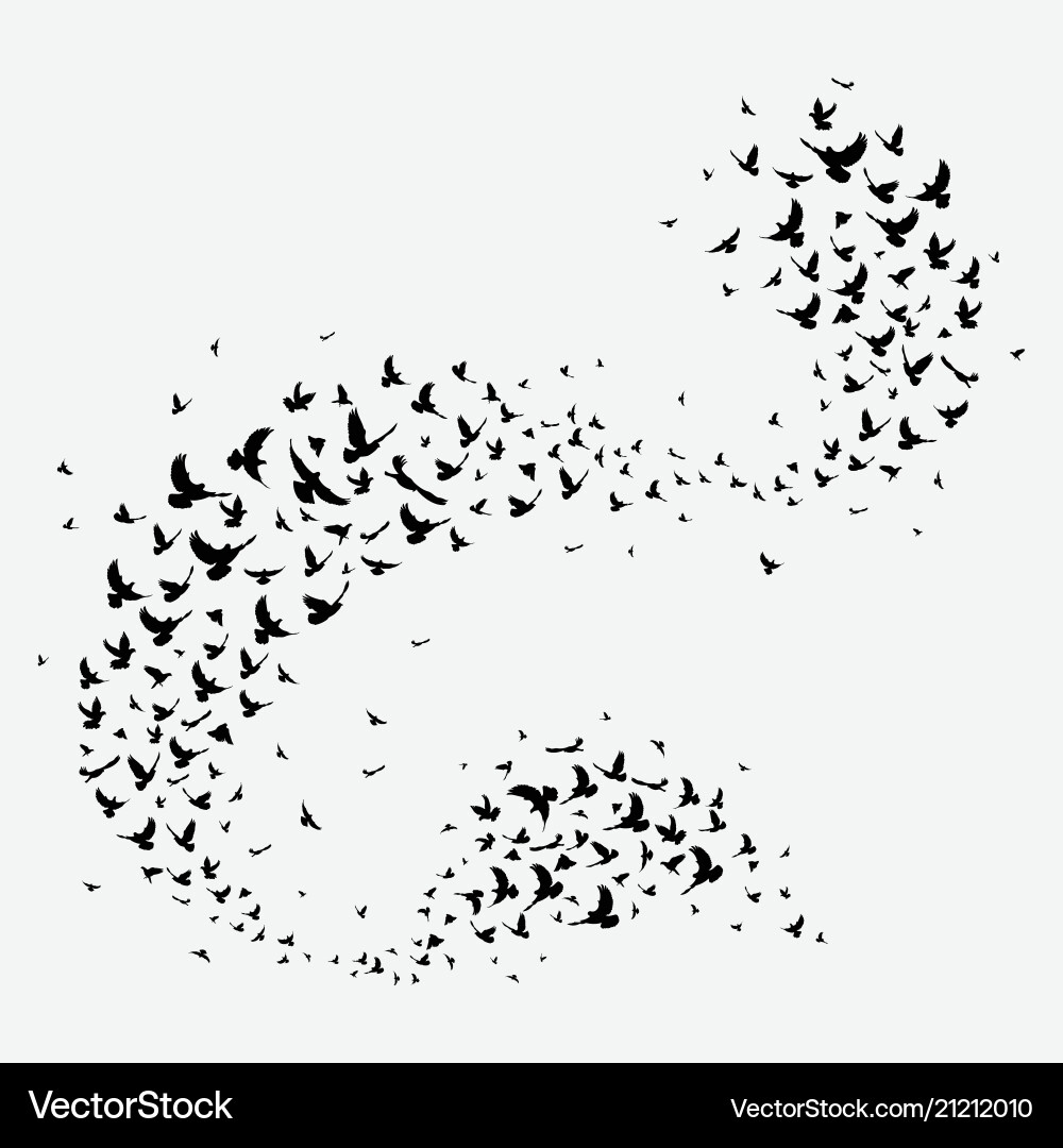 Black Bird Flock Silhouette vector image