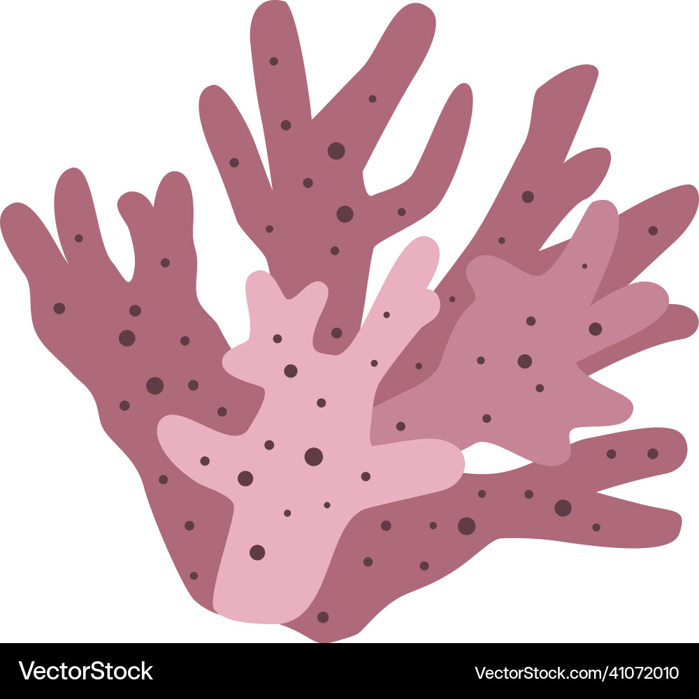 Coral flat Royalty Free Vector Image - VectorStock