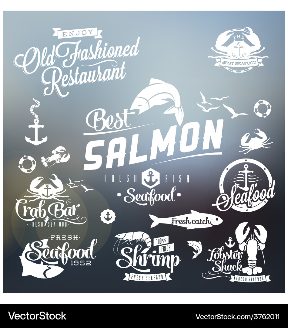 Design elements vector image