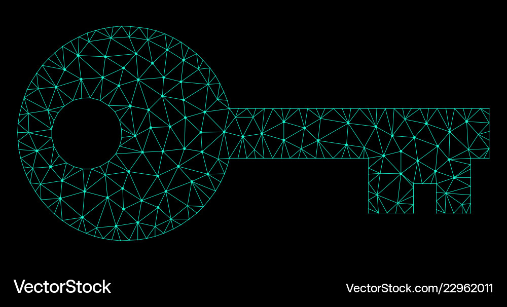 Mesh key in polygonal wire frame style Mesh key in polygonal wire frame style vector image
