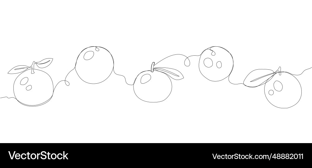 Tangerine single line border Vector Image