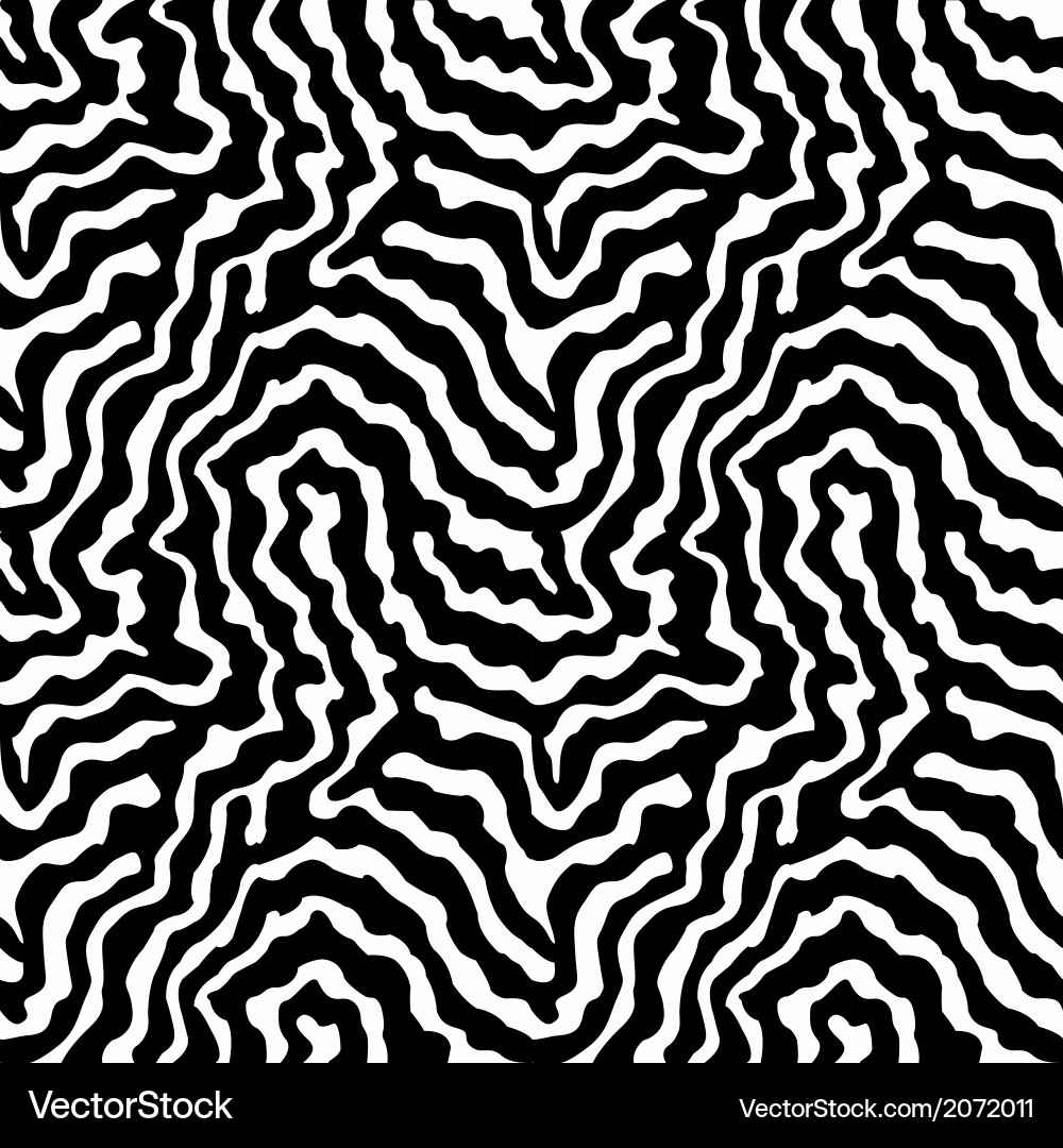 Zebra Stripe Pattern vector image