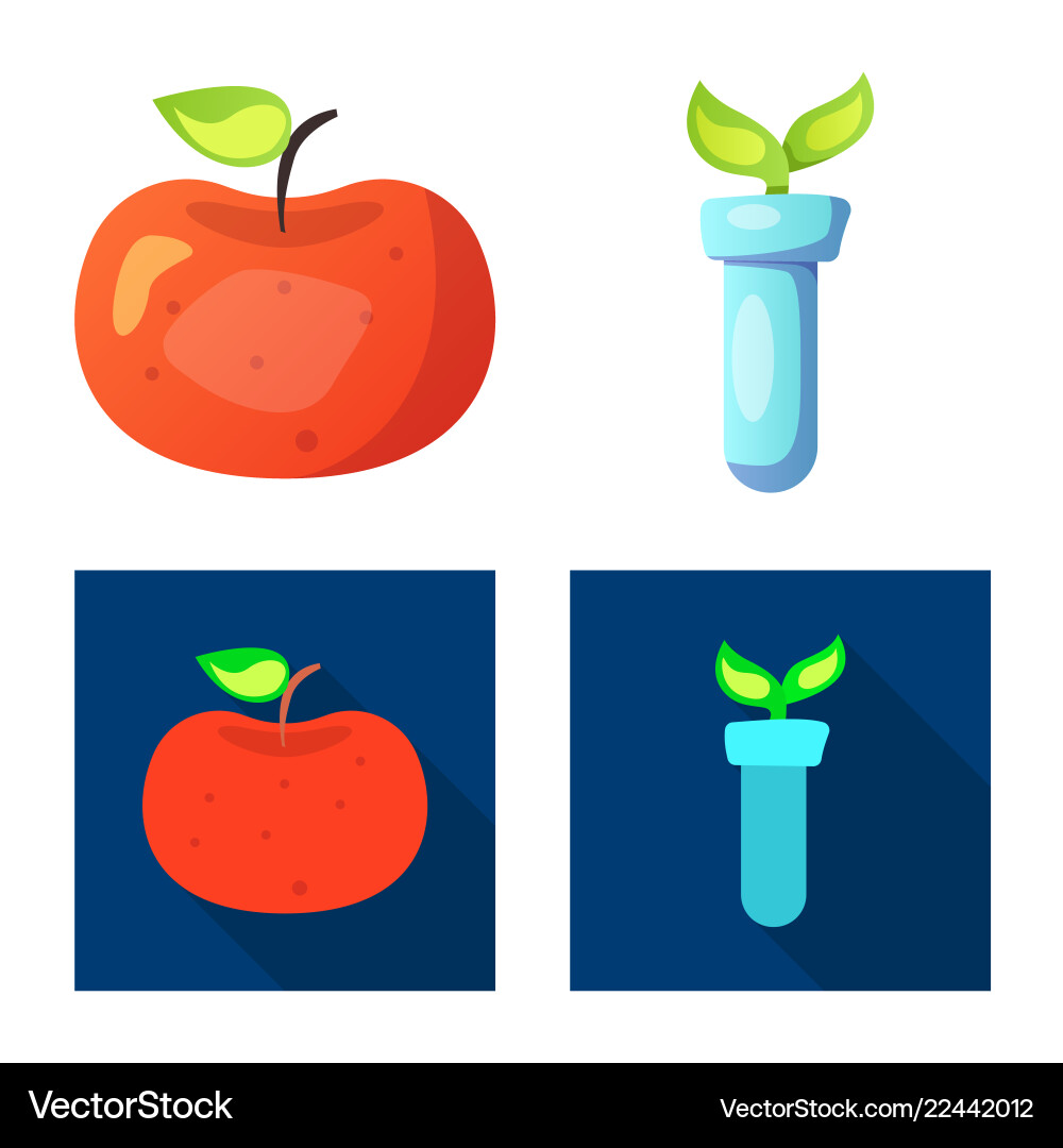 Isolated object of and logo set s vector image