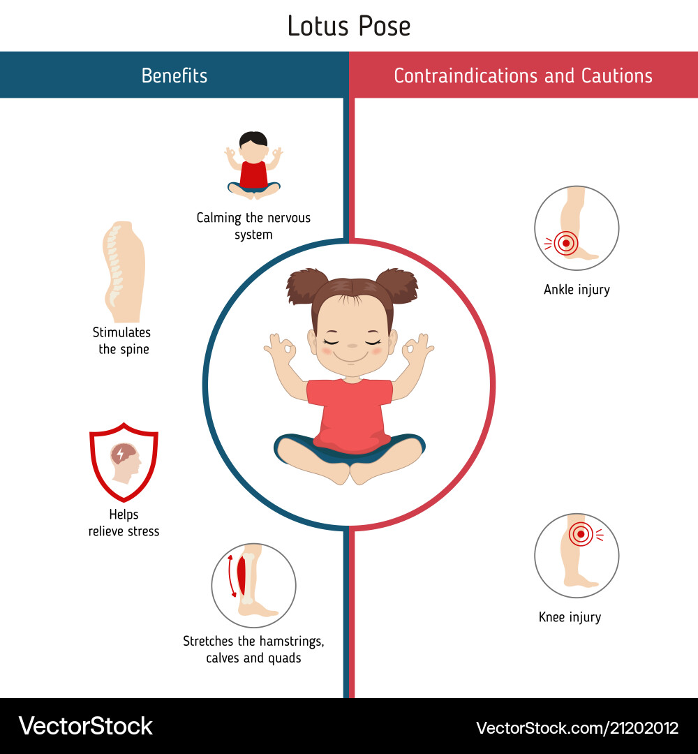 Lotus Yoga Pose Infographic Vector Image