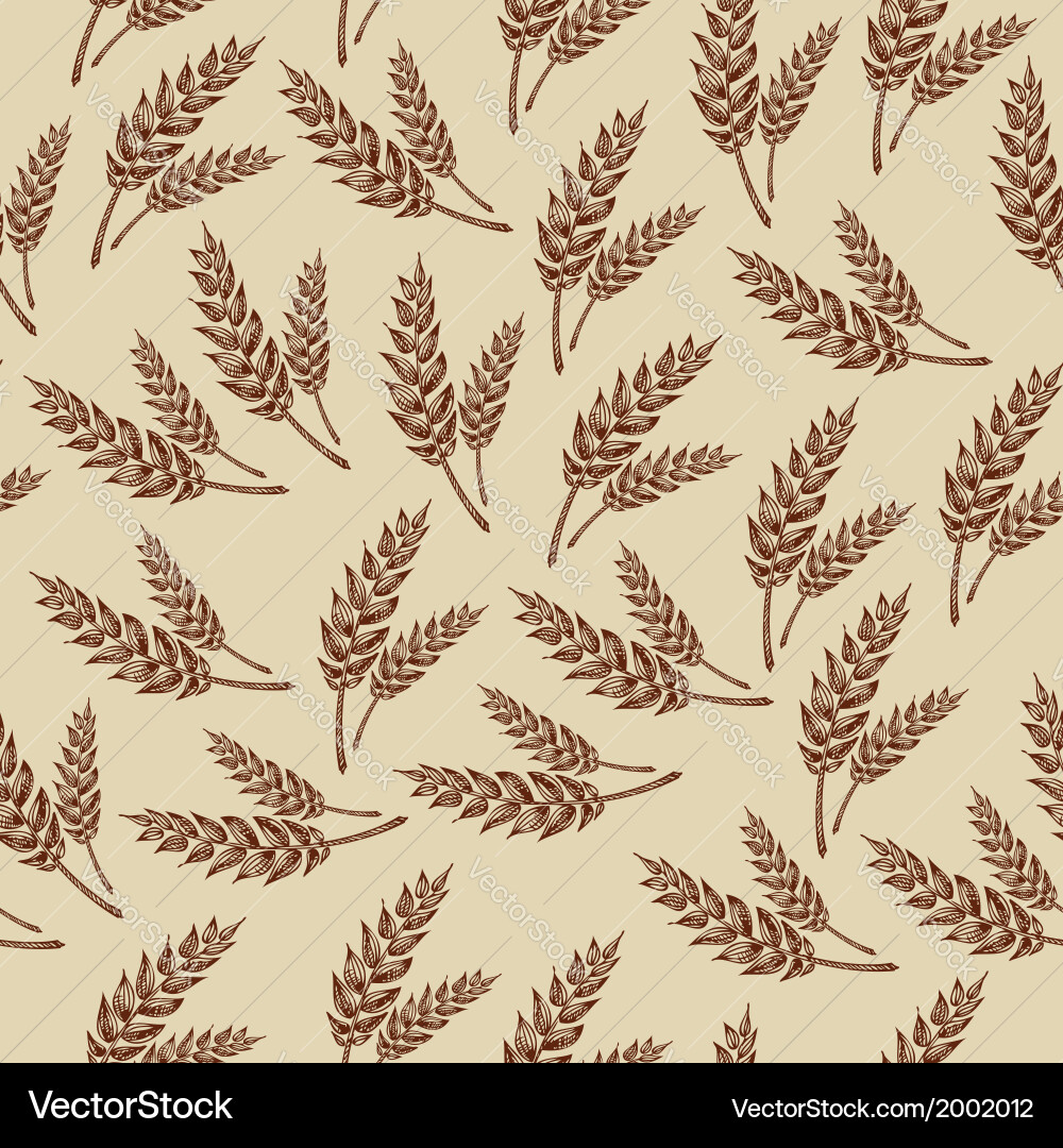 Wheat Pattern - Bakery Style vector image