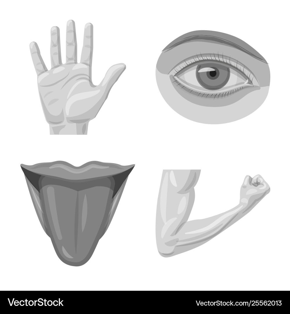 Design human and part sign collection Design human and part sign collection vector image