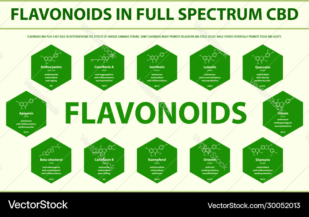 Flavonoids in full spectrum cbd with structural Flavonoids in full spectrum cbd with structural vector image
