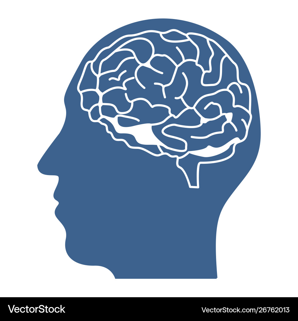 Head with brain inside icon design Head with brain inside icon design vector image