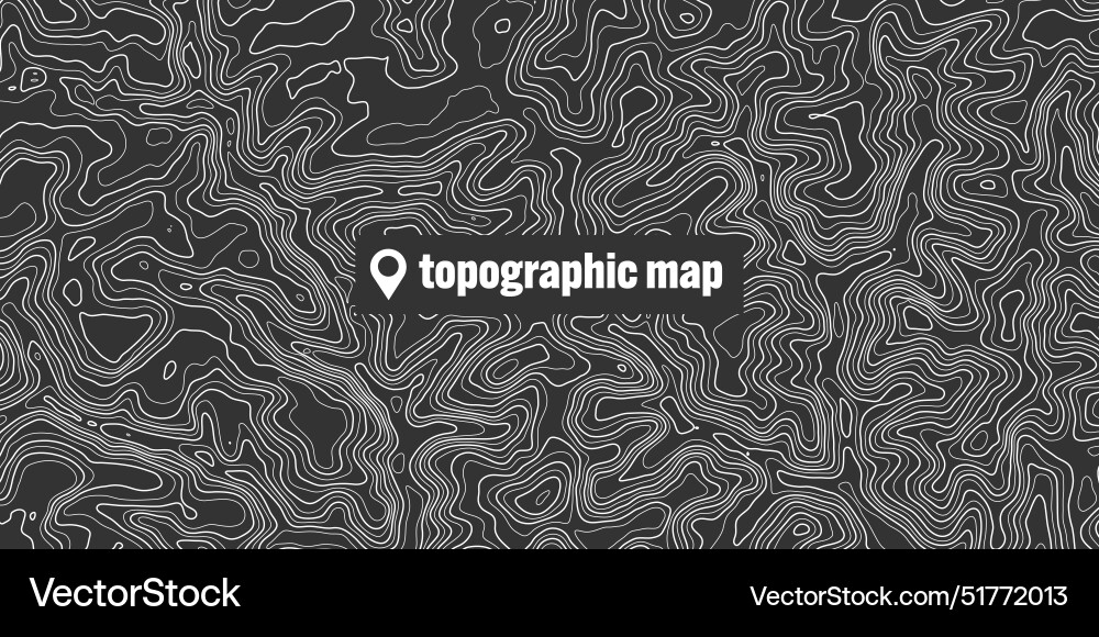 Topographic map with contour lines geographic Topographic map with contour lines geographic Vector Image