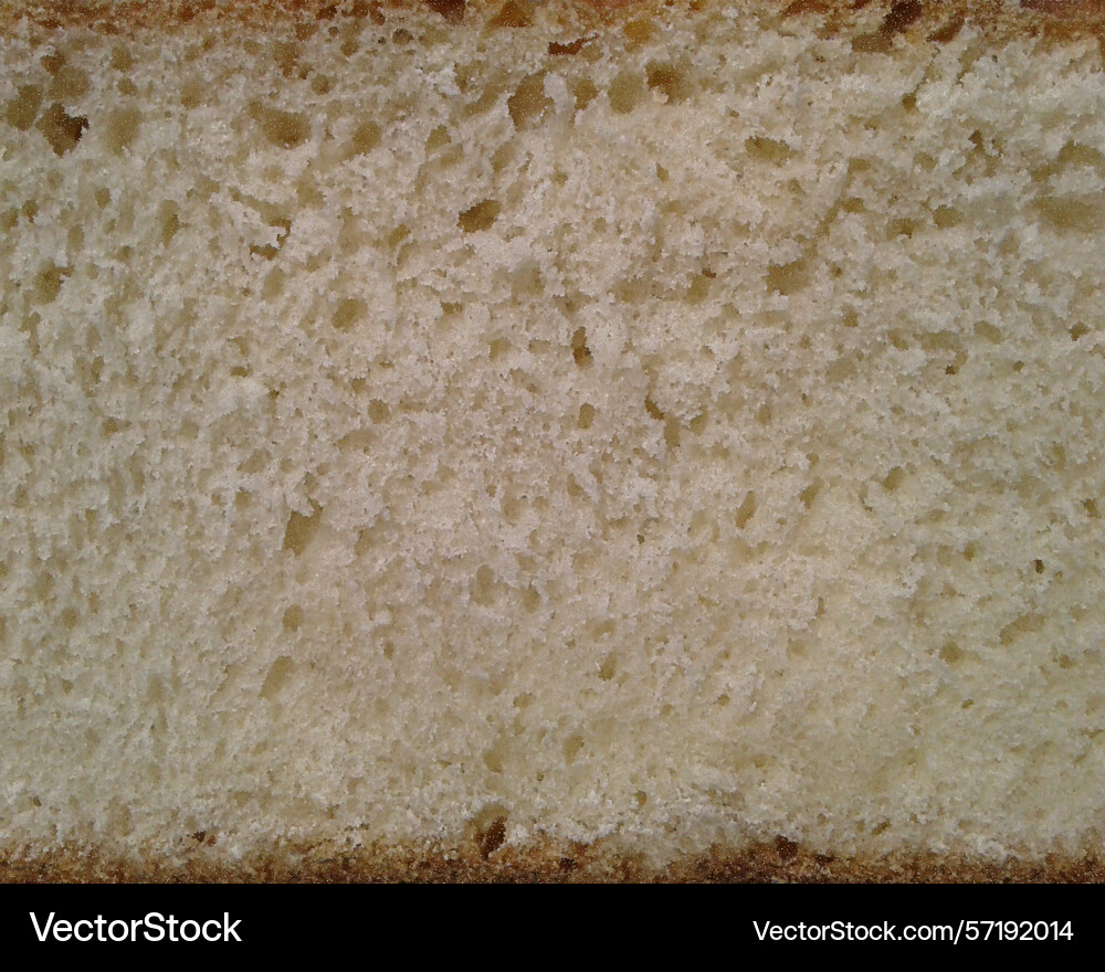 Bread background porous texture crumb realistic Vector Image