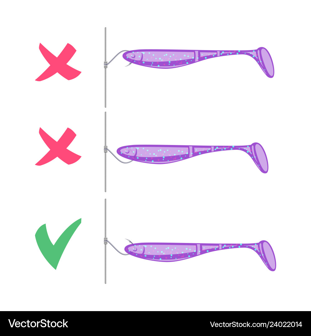 Drop shot hook setup dos and donts Vector Image