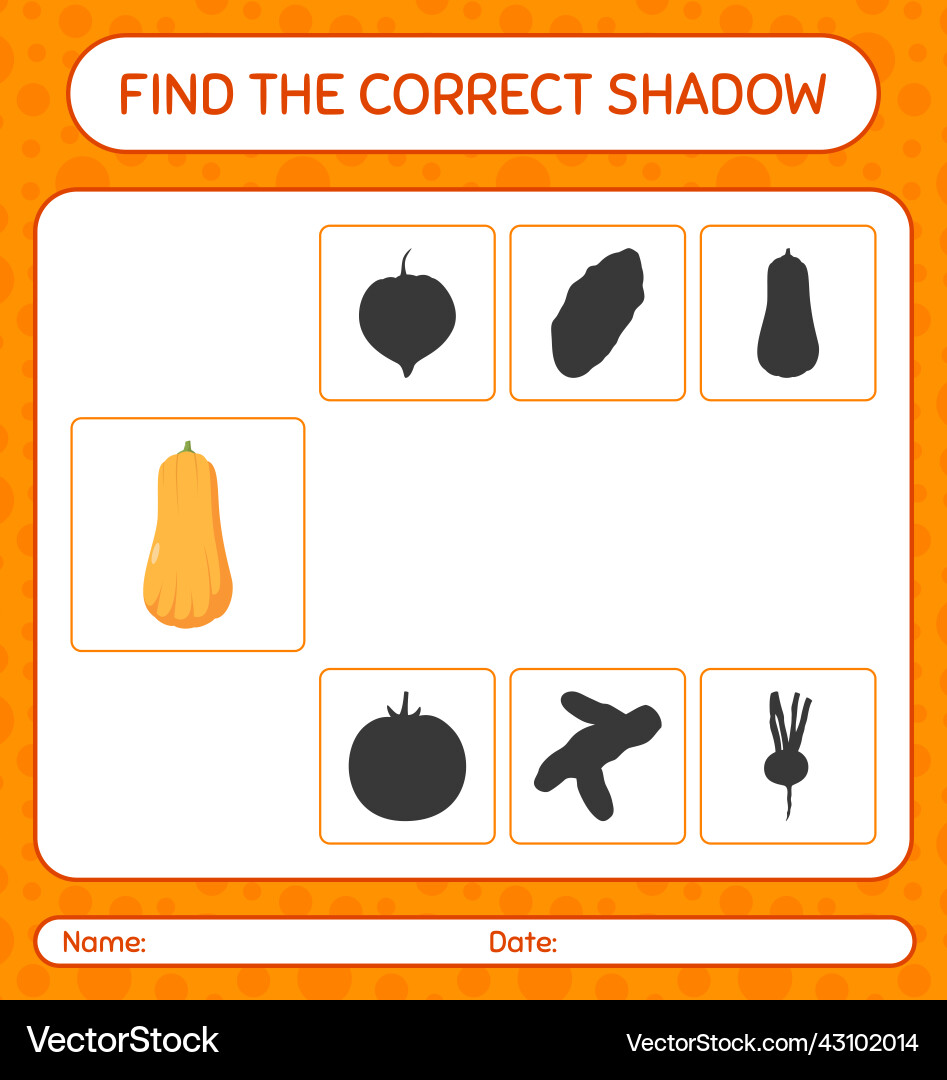 Find the correct shadows game with squash Find the correct shadows game with squash vector image