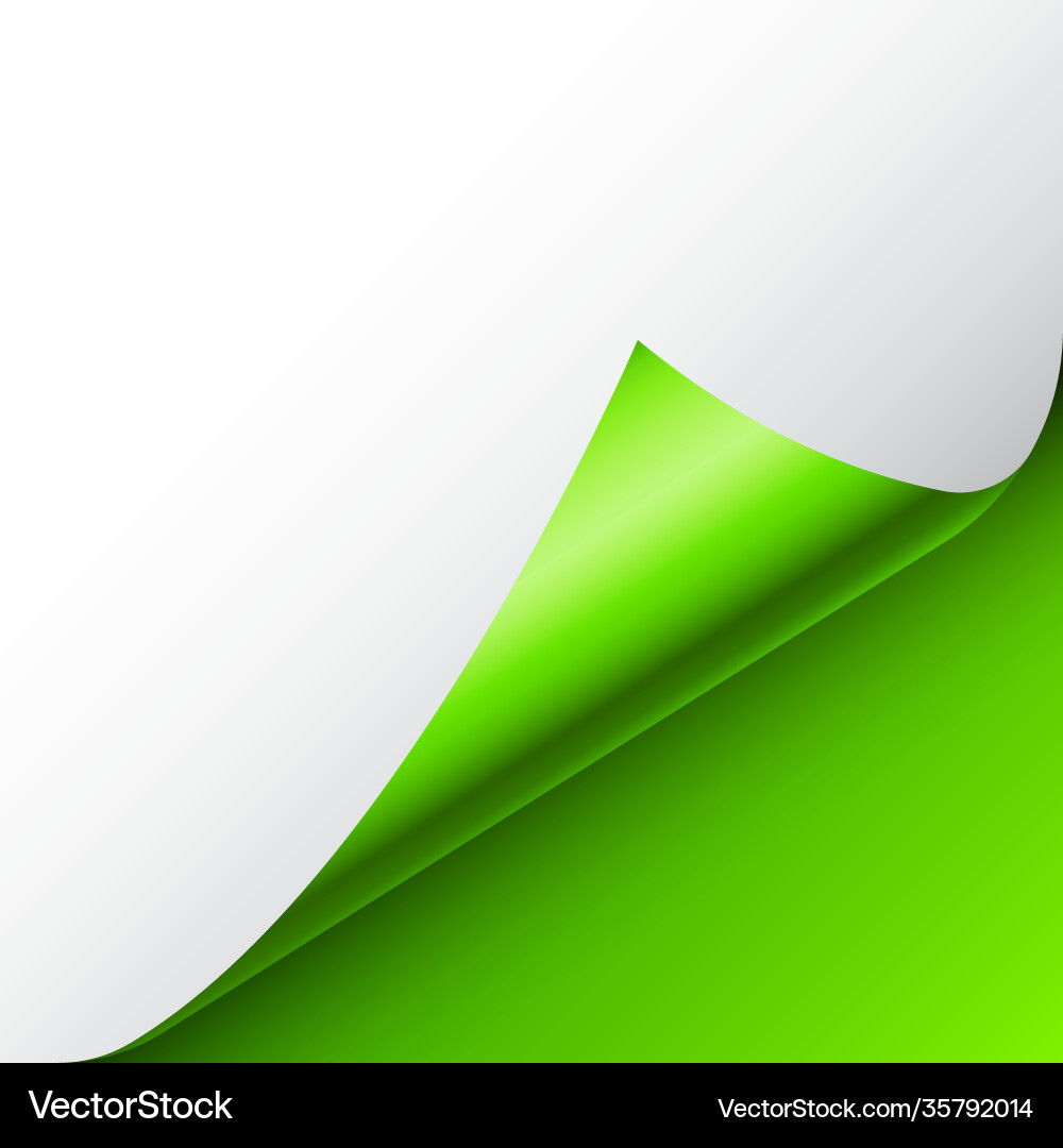 Green paper curl curled page corner with shadow Green paper curl curled page corner with shadow vector image